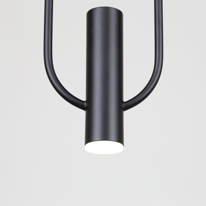 Купить с доставкой по Москве и России Подвесной светильник Favourite 4191-1P