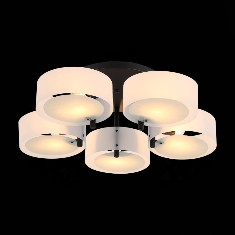 Купить Люстра на штанге Evoluce SL483.402.05