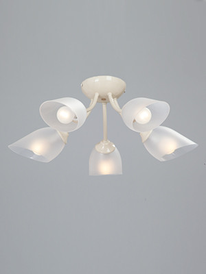 Фото Накладная люстра Vitaluce V3405/5PL