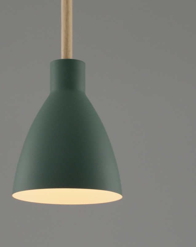 Купить с доставкой по Москве и России Подвесной светильник Moderli Moderli V10651-1P Toni подвесной