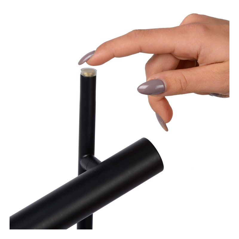 Купить с доставкой по Москве и России Торшер LUCIDE 79781/10/30