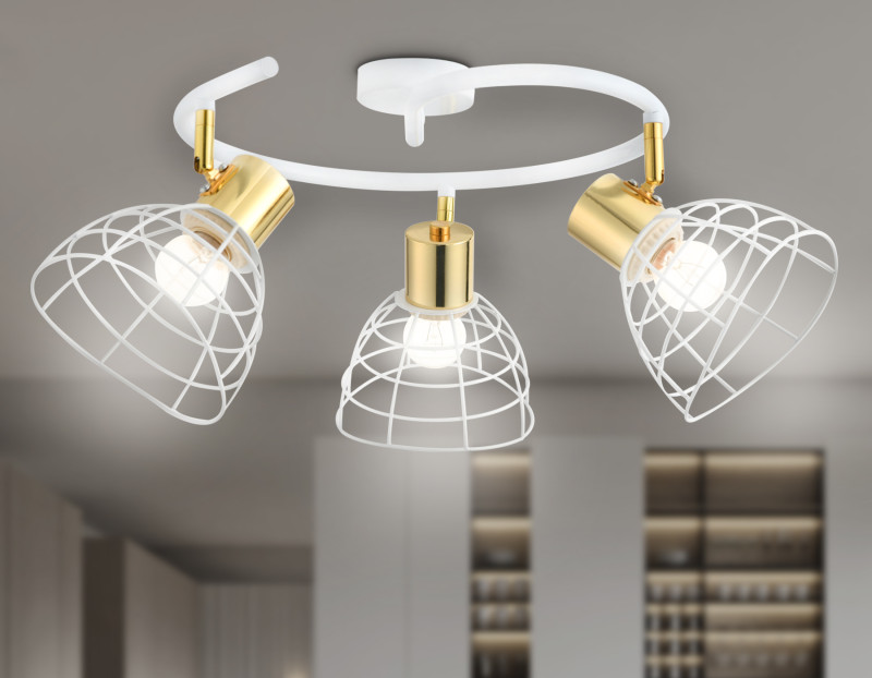 Купить с доставкой по Москве и России Спот Ambrella Light TR8605