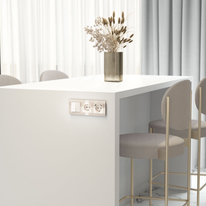 Купить Розетка Werkel W1171143