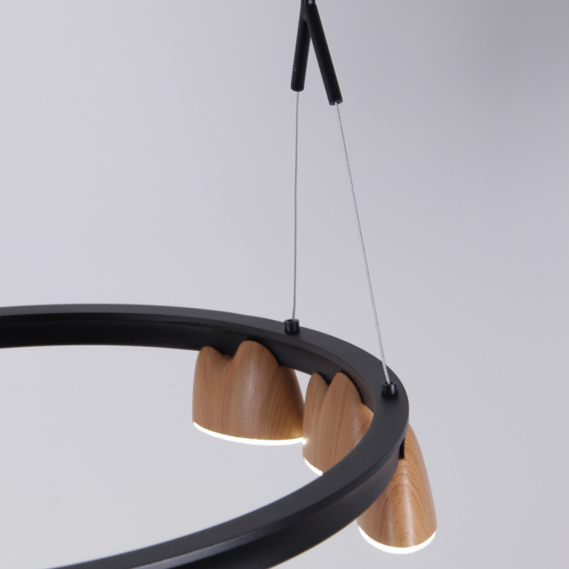 Купить с доставкой по Москве и России Подвесная люстра Favourite 4266-21P