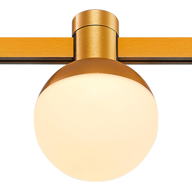 Купить Светильник на шине ST-Luce ST815.206.05