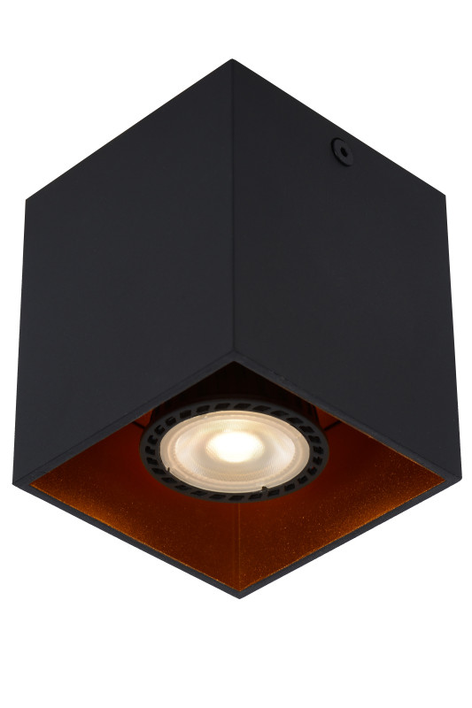 Накладной светильник LUCIDE 22966/01/30 Накладной светильник LUCIDE 22966/01/30