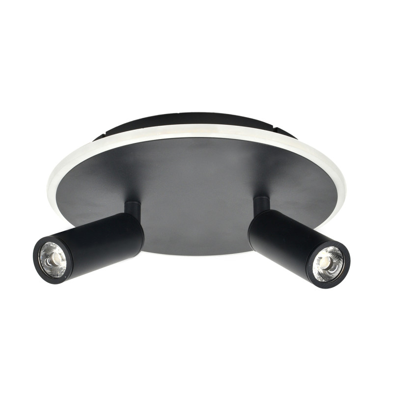 Купить с доставкой по Москве и России Накладной светильник Escada 20046SMA/02LED BK