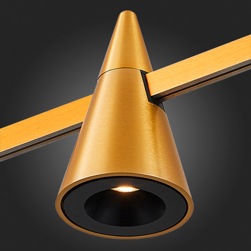 Купить с доставкой по Москве и России Светильник на шине ST-Luce ST813.206.05