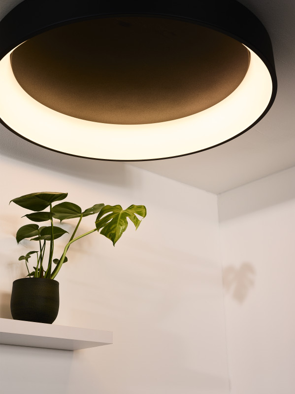 Купить Влагозащищенный светильник LUCIDE 46100/80/30