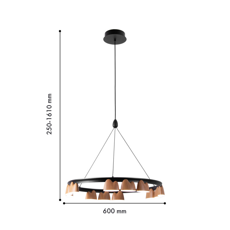 Купить Подвесная люстра Favourite 4266-12P
