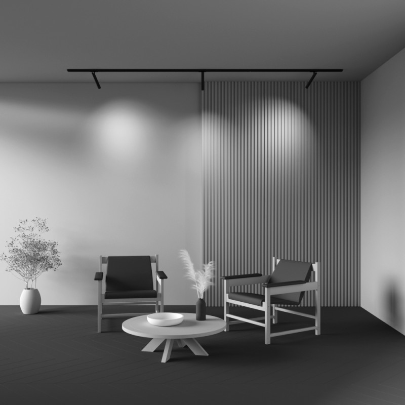 Купить с доставкой по Москве и России Светильник на шине Maytoni Technical TR141-1-6W3K-M-B