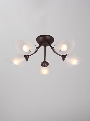 Фото Накладная люстра Vitaluce V3404/5PL