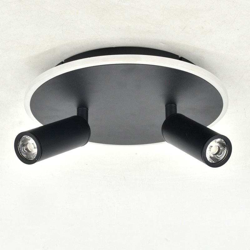 Купить Накладной светильник Escada 20046SMA/02LED BK