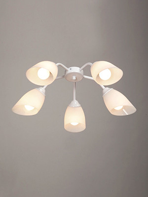 Фото Накладная люстра Vitaluce V31950/5PL