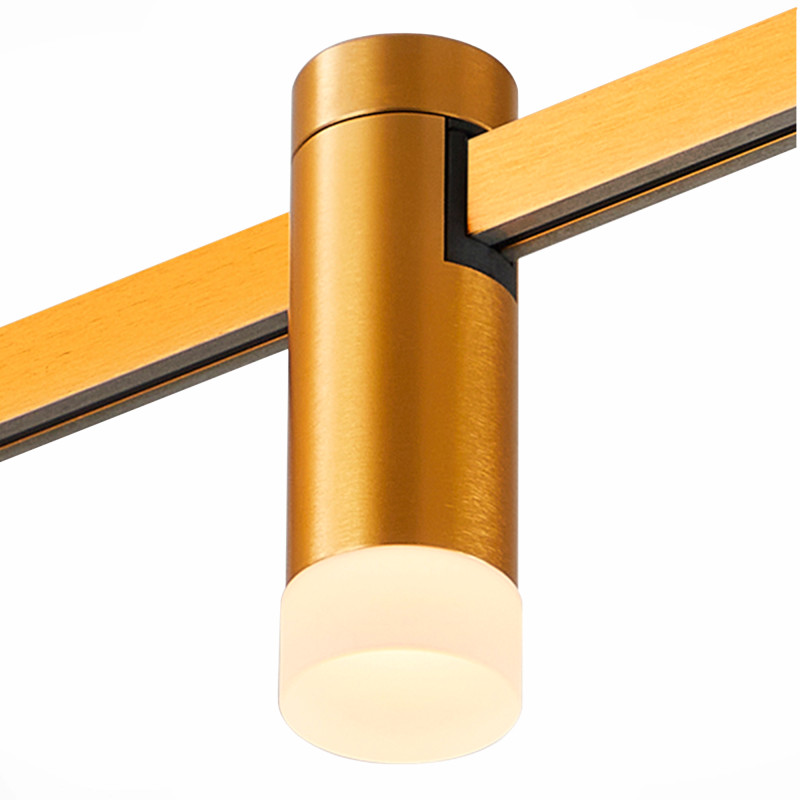 Светильник на шине ST-Luce ST812.206.03 Фото Светильник на шине ST-Luce ST812.206.03