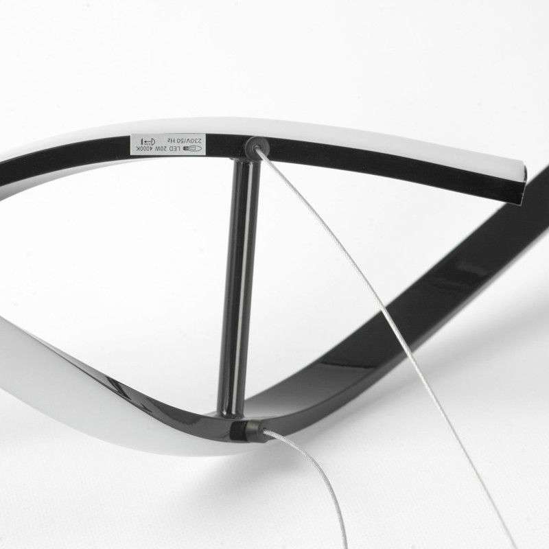 Купить с доставкой по Москве и России Подвесной светильник Lussole LSP-7163