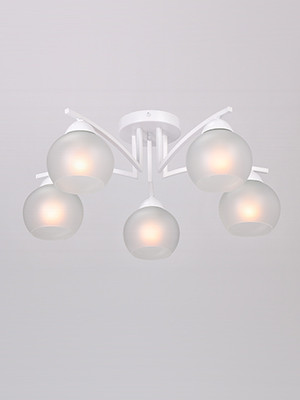 Фото Накладная люстра Vitaluce V4285-0/5PL