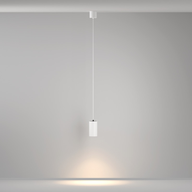 Подвесной светильник Maytoni Technical P100PL-20W3K-W Цена на Подвесной светильник Maytoni Technical P100PL-20W3K-W