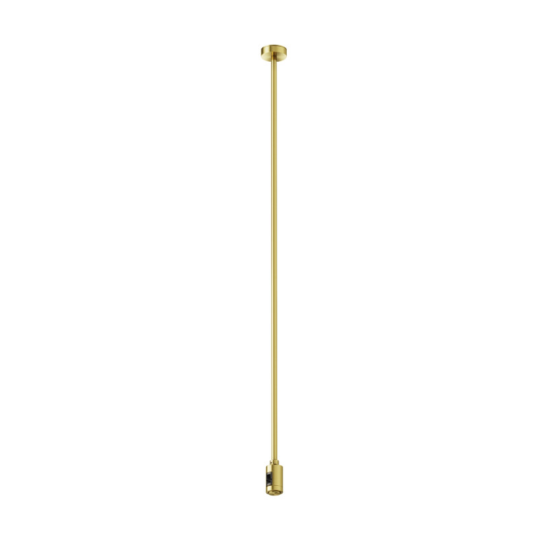 Стойка Maytoni Technical TRA159С-SL1-BS Фото Стойка Maytoni Technical TRA159С-SL1-BS
