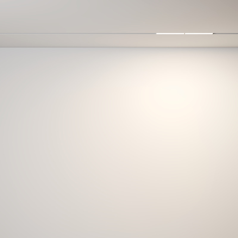 Цена на Светильник на шине Maytoni Technical TR106-2-12W3K-W