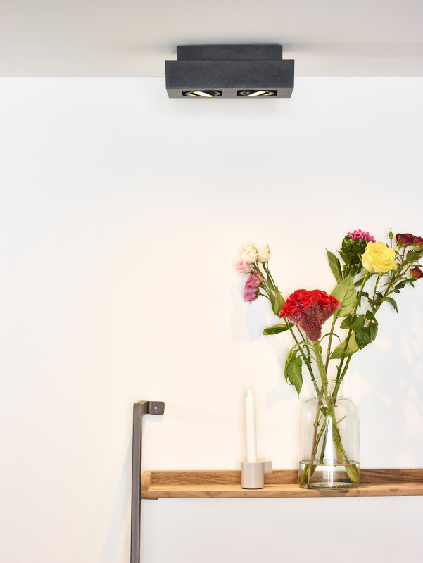 Купить Накладной светильник LUCIDE 09119/11/30