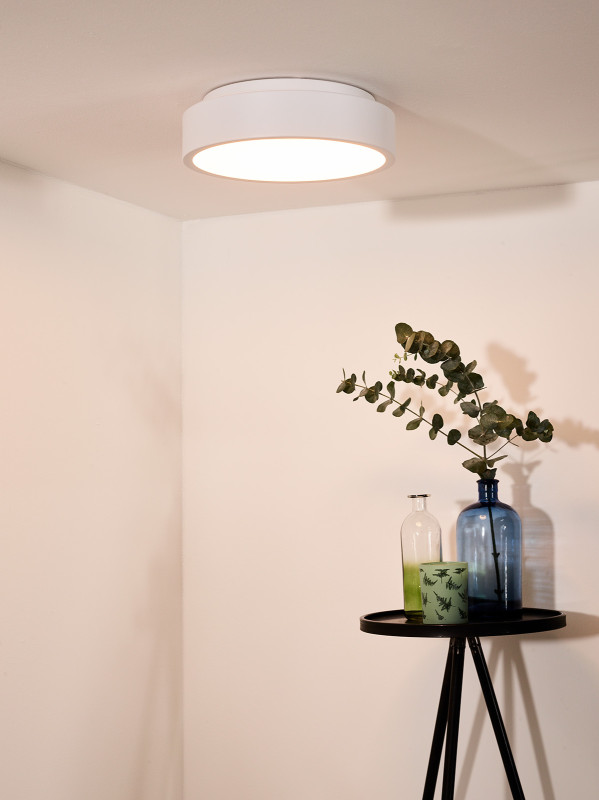 Влагозащищенный светильник LUCIDE 46100/20/31 Купить Влагозащищенный светильник LUCIDE 46100/20/31