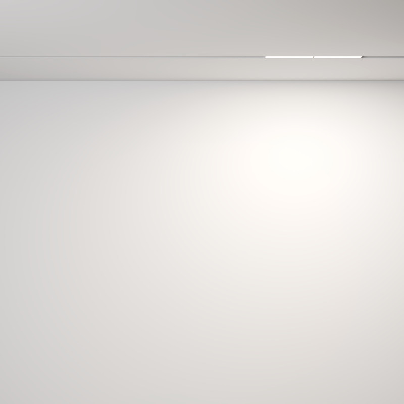 Цена на Светильник на шине Maytoni Technical TR106-2-12W4K-W