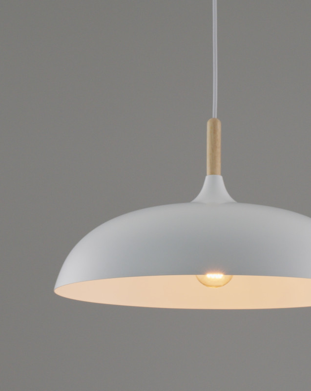 Купить с доставкой по Москве и России Подвесной светильник Moderli Moderli V1330-P Hygo 1*E27*60W подвесной