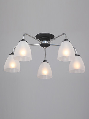 Фото Накладная люстра Vitaluce V3946-1/5PL