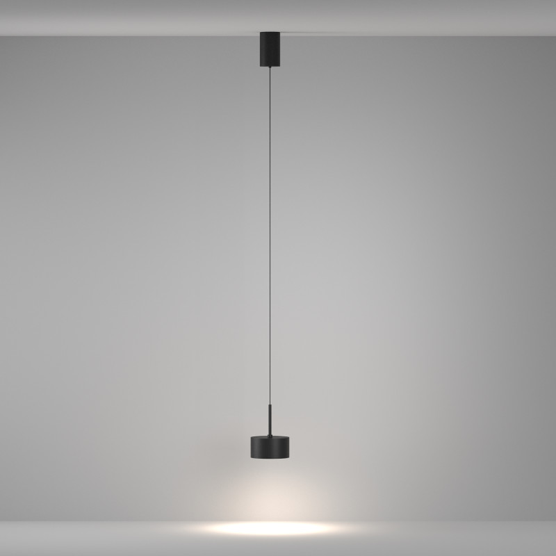 Цена на Подвесной светильник Maytoni Technical P102PL-12W4K-B