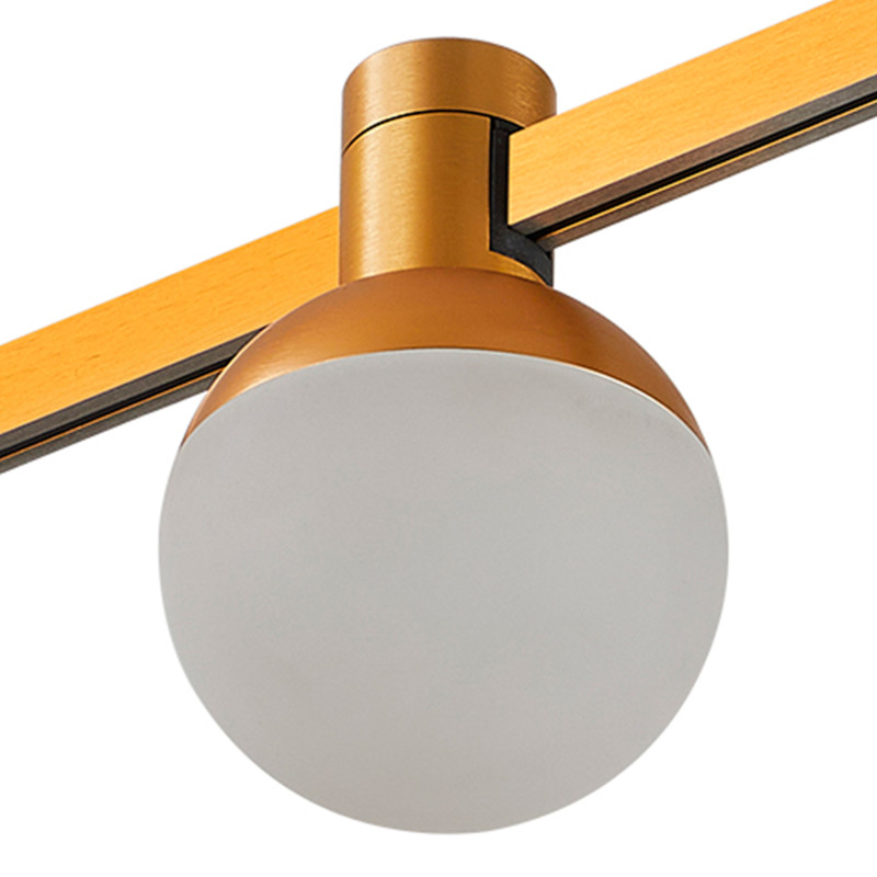 Светильник на шине ST-Luce ST815.206.05 в интернет магазине Гет Лайт