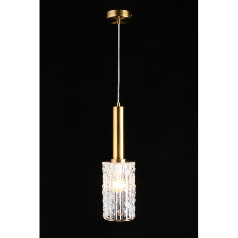 Купить с доставкой по Москве и России Подвесной светильник APLOYT APL.310.06.01