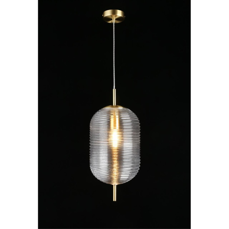 Купить с доставкой по Москве и России Подвесной светильник APLOYT APL.316.16.01