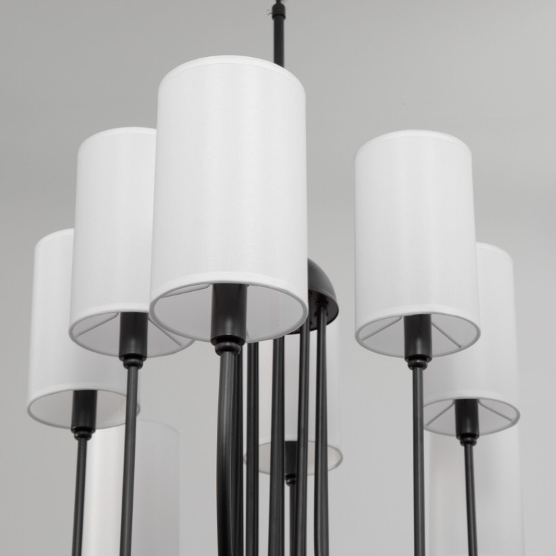 Купить Подвесная люстра Eurosvet 60164/10 черный