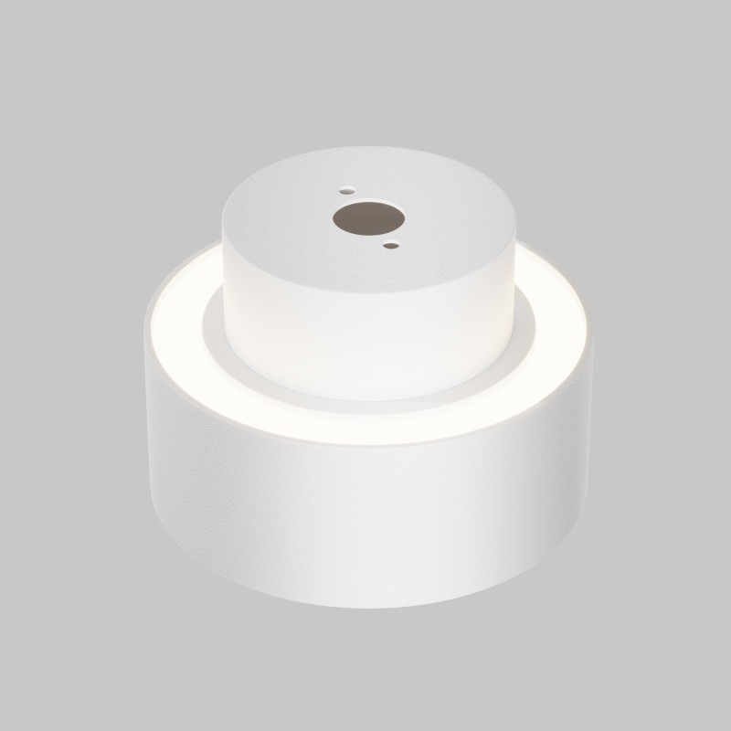 Купить с доставкой по Москве и России Накладной светильник Maytoni Technical C092CL-GX53-W