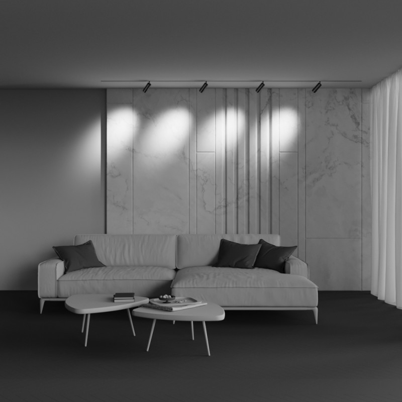 Купить с доставкой по Москве и России Светильник на шине Maytoni Technical TR211-1-12W4K-Z-B