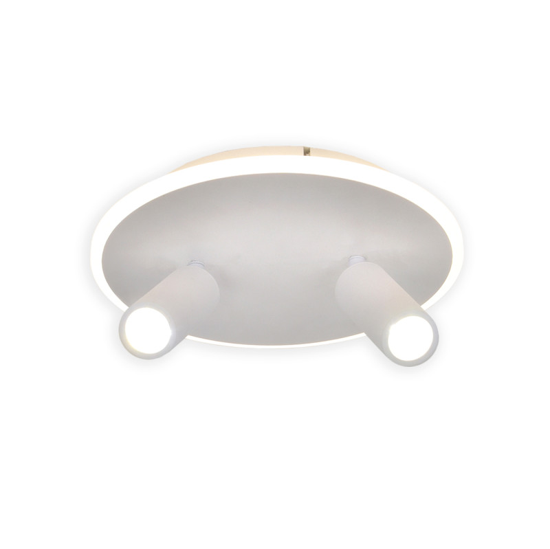 Фото Накладной светильник Escada 20046SMA/02LED WH