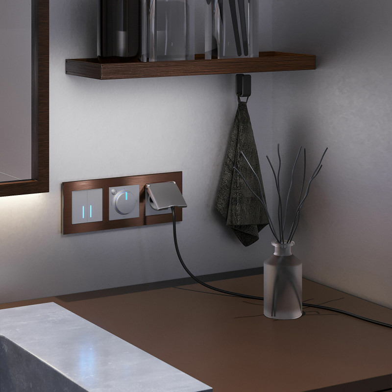 Купить с доставкой по Москве и России Выключатель Werkel W4520006