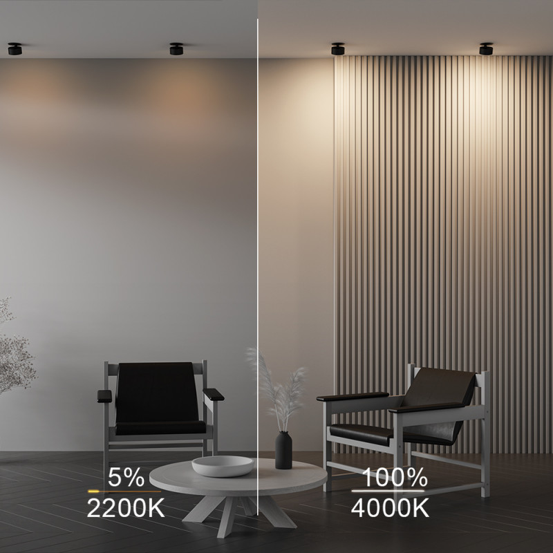 Купить с доставкой по Москве и России Встраиваемый светильник Maytoni Technical DL024-12W-DTW-B