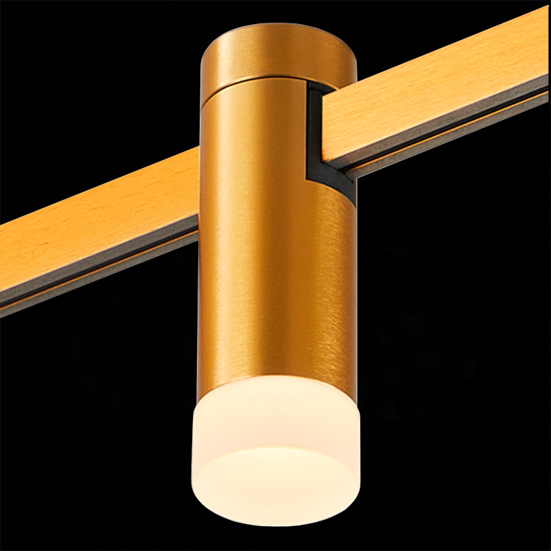 Светильник на шине ST-Luce ST812.206.03 Купить с доставкой по Москве и России Светильник на шине ST-Luce ST812.206.03