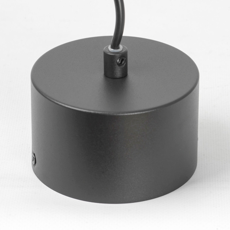 Купить с доставкой по Москве и России Подвесной светильник Lussole LSP-8957