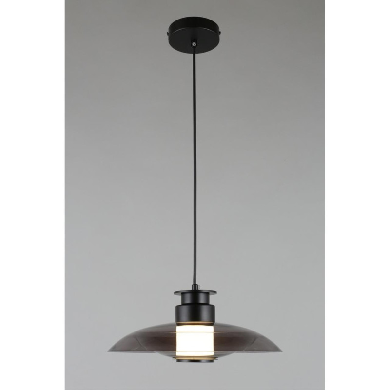 Купить Подвесной светильник APLOYT APL.648.06.10