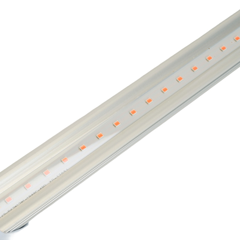 Цена на Feron 38278