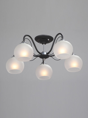 Фото Накладная люстра Vitaluce V3948-1/5PL