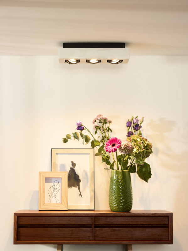 Купить Накладной светильник LUCIDE 09119/16/31