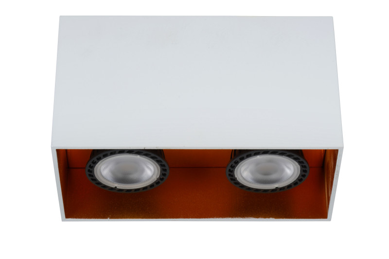 Накладной светильник LUCIDE 22966/02/31 Накладной светильник LUCIDE 22966/02/31 в интернет магазине Гет Лайт