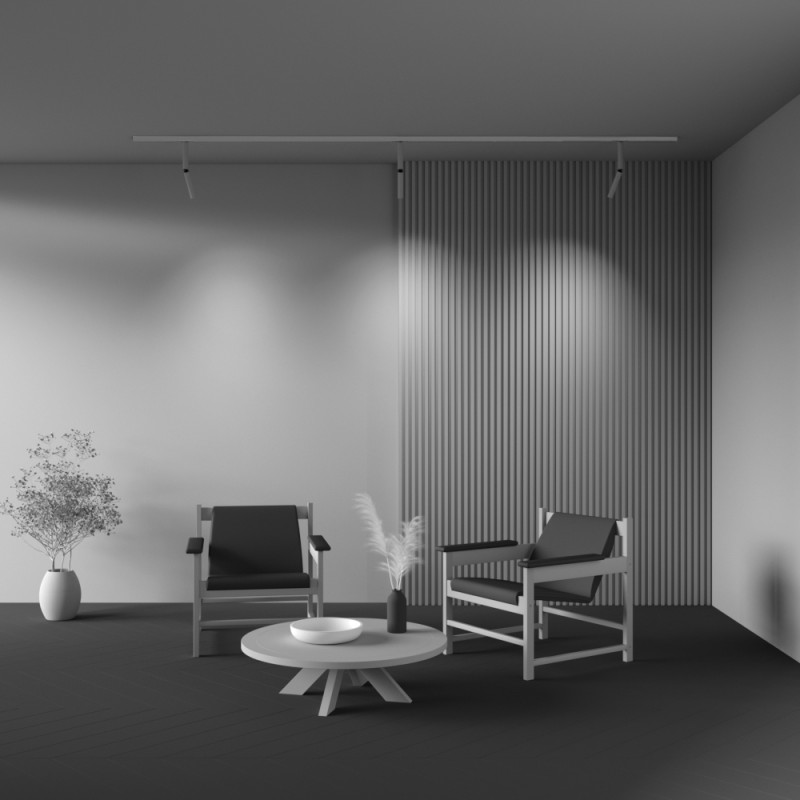 Купить с доставкой по Москве и России Светильник на шине Maytoni Technical TR142-1-6W4K-W