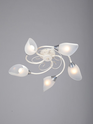 Фото Накладная люстра Vitaluce V3667-0/5PL