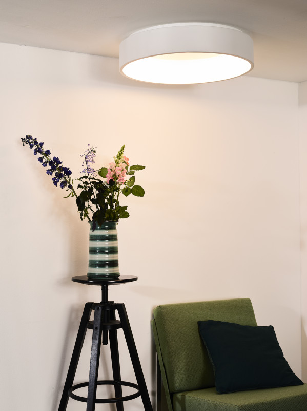 Купить Влагозащищенный светильник LUCIDE 46100/42/31