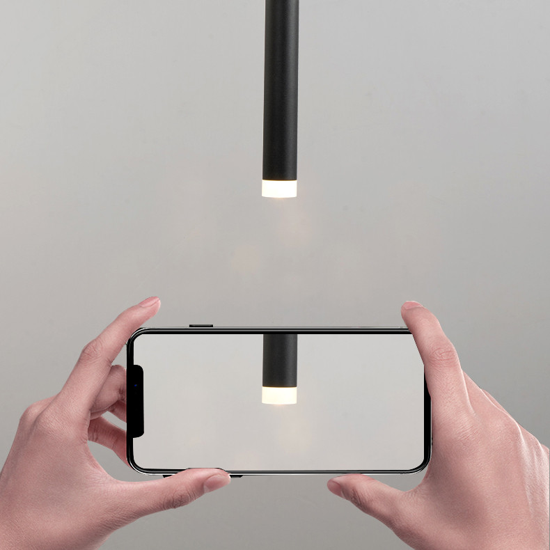 Купить с доставкой по Москве и России Подвесной светильник ImperiumLoft 213633-23